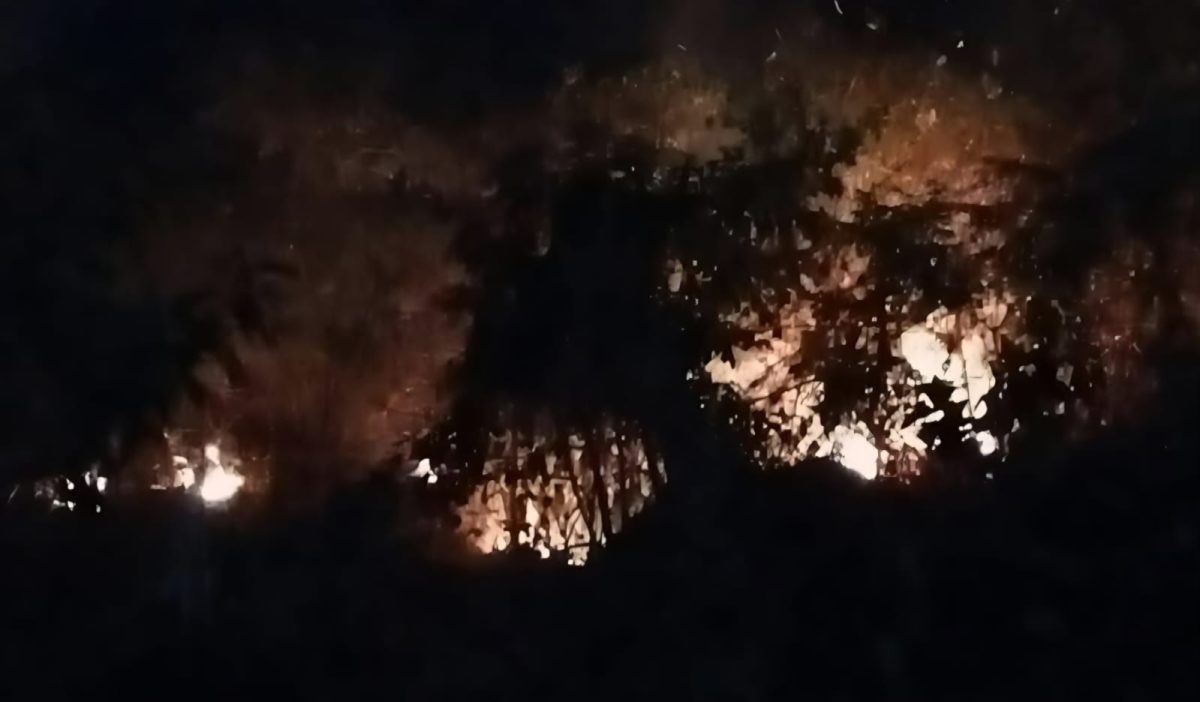 Kebakaran hutan dan lahan (karhutla) yang terjadi di Kelurahan Tarau, Kota Ternate pada Minggu malam (20/9/2026).