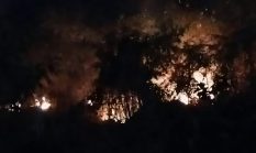 Damkar Ternate Gerak Cepat Tangani Dua Titik Kebakaran, Ini Lokasinya
