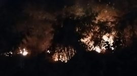 Kebakaran hutan dan lahan (karhutla) yang terjadi di Kelurahan Tarau, Kota Ternate pada Minggu malam (20/9/2026).